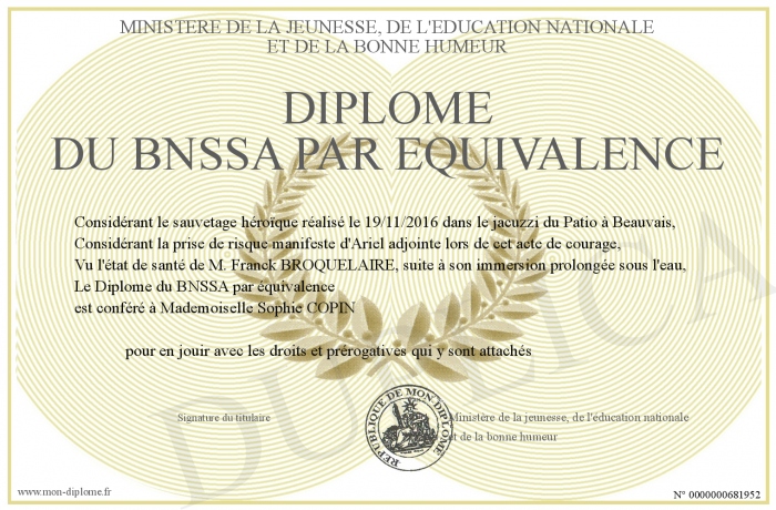 diplome bnssa